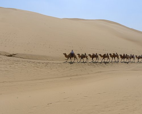 Camel Riding @ Resonant Sand Gorge (响沙湾)