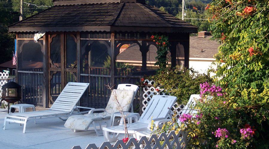 Pool and screened Gazebo