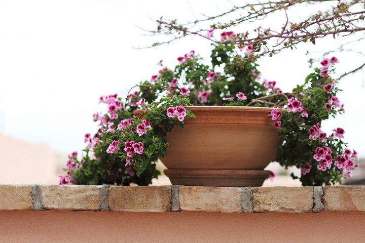 Hotel photo 6 of L'Alberghetto B&B.