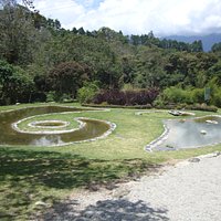 Laguna principal Jardin Botanico de Merida