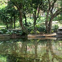 Lagoon
