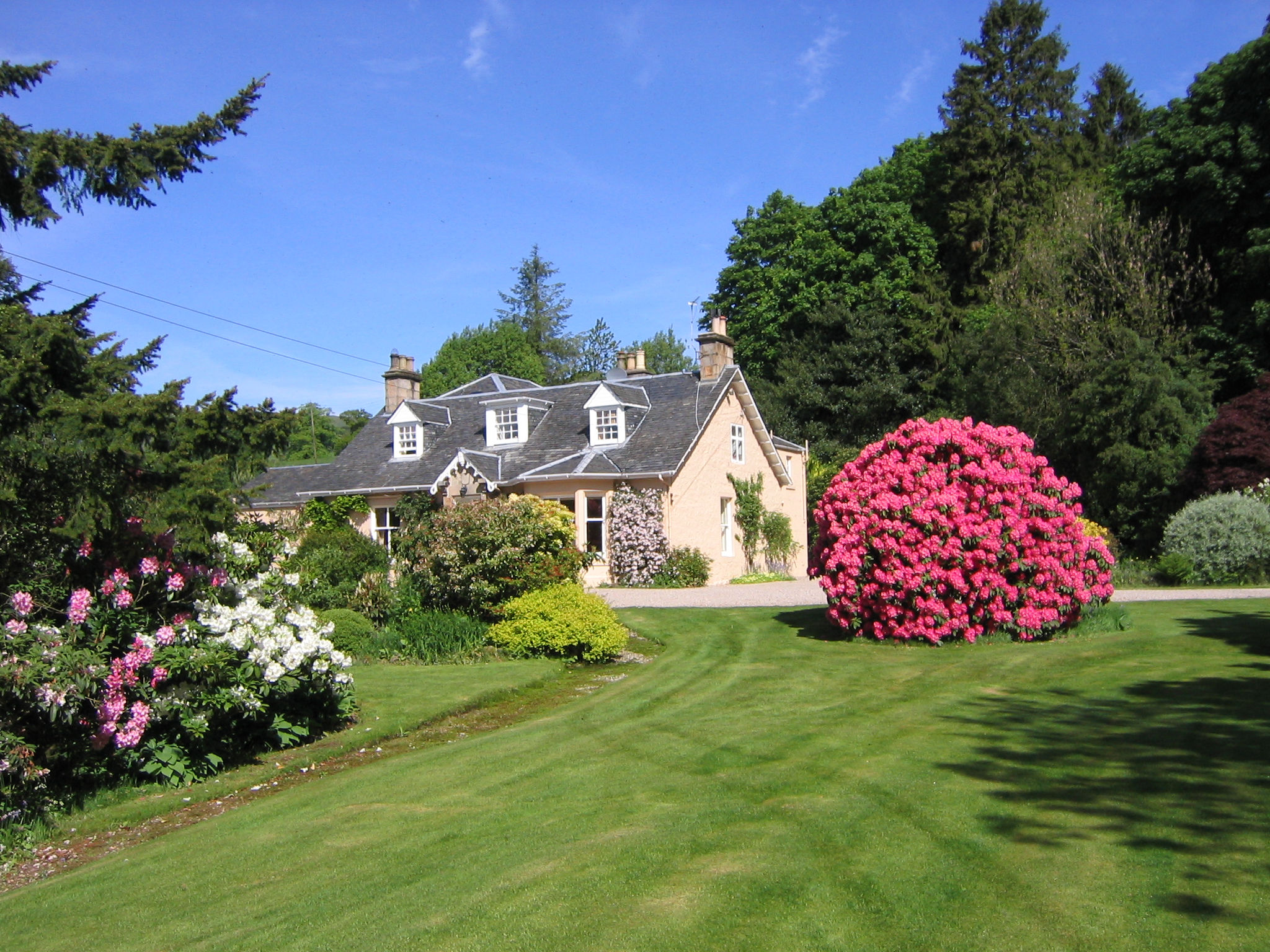 Hotel photo 6 of Finglen House.