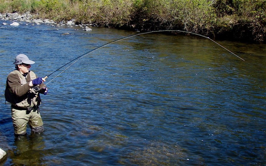 Fly Fishing Lessons Taupo Turangi NZ