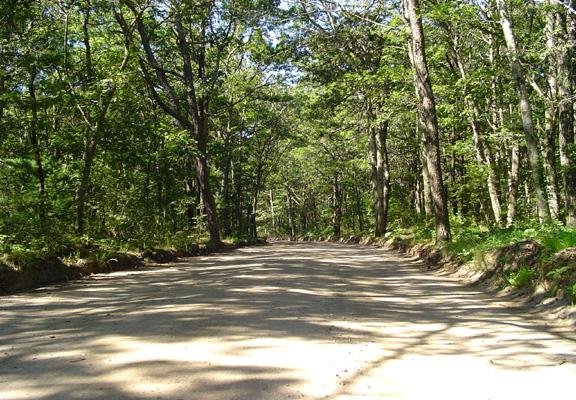 Sweetwater Forest Main Road-Nature's Welcome to relaxation & fun!