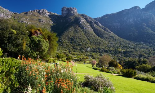 Kirstenbosch National Botanical Garden