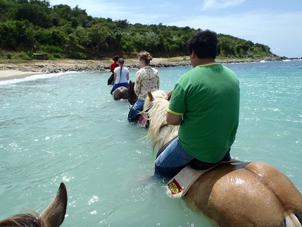 THE 5 BEST St Martin / St Maarten Horseback Riding Tours (2024)