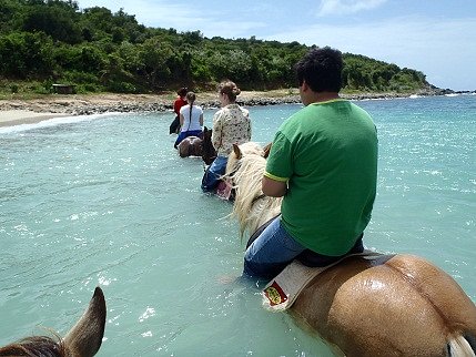 horseback riding st maarten excursions