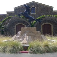 Black Stallion Winery