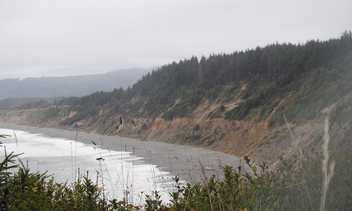 View of beach from Agate Beach camp site