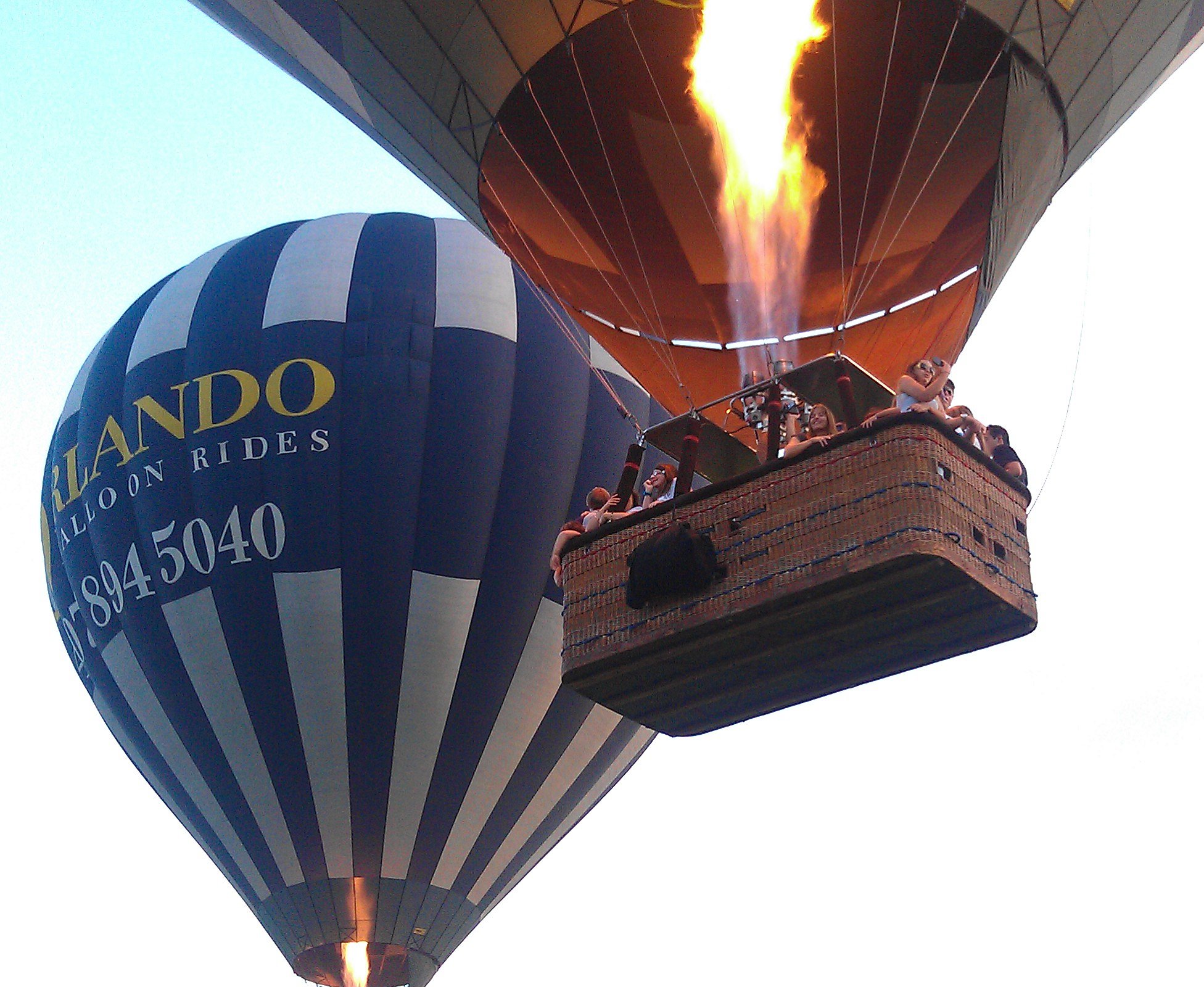 Orlando Balloon Rides All You Need to Know BEFORE You Go