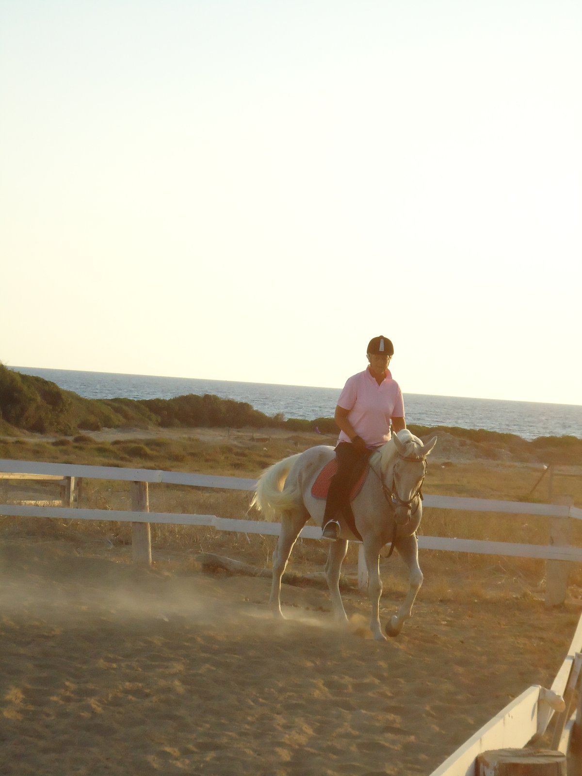 Curium Equestrian Centre, Лимасол: лучшие советы перед посещением -  Tripadvisor