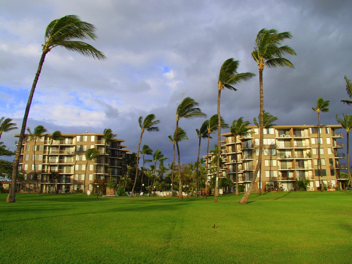 Kitchenettes de l'Kauhale Makai : photos et avis - Tripadvisor