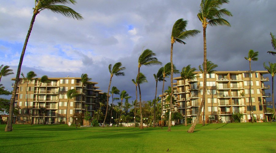 View of Kauhale Makai