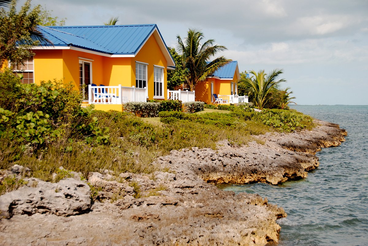 Хороший остров отзывы. Андрос (остров, Багамы). Mangrove cay.