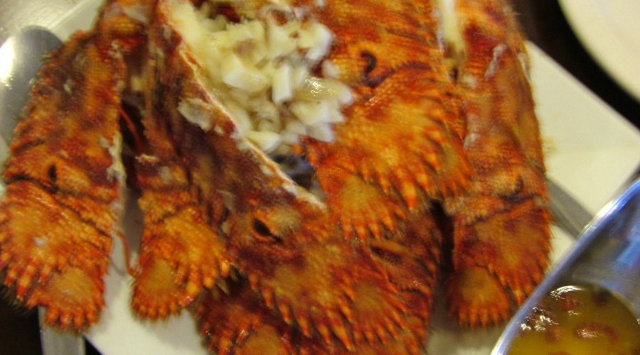 slipper lobster