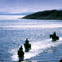 Horse Riding at Argyll Adventure Inveraray Argyll Scotland