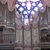 organ