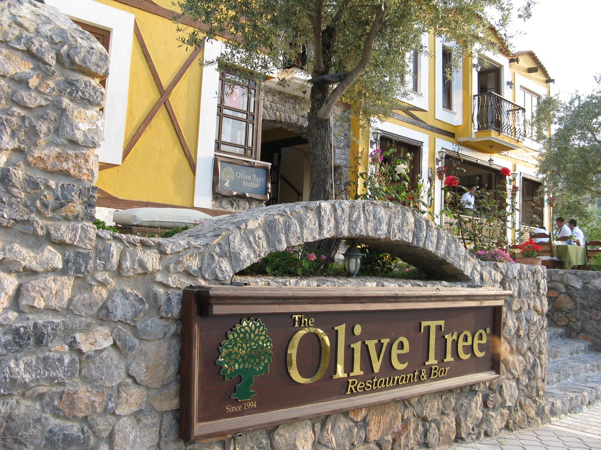 THE OLIVE TREE RESTAURANT & BAR, Hisaronu - Restaurant Reviews, Photos &  Phone Number - Tripadvisor