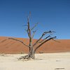 10 Tours in Namib-Naukluft Park That You Shouldn't Miss