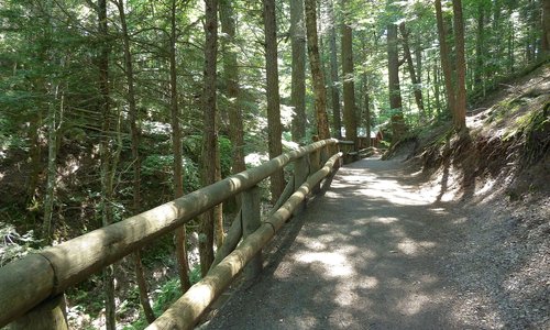 Another hiking trail.