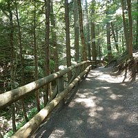 Another hiking trail.