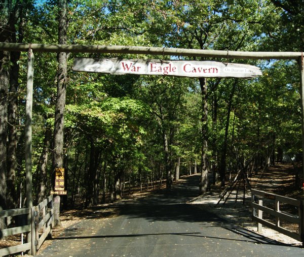 Escape to Nature's Embrace: Unwinding at Hobbs Conservation Area