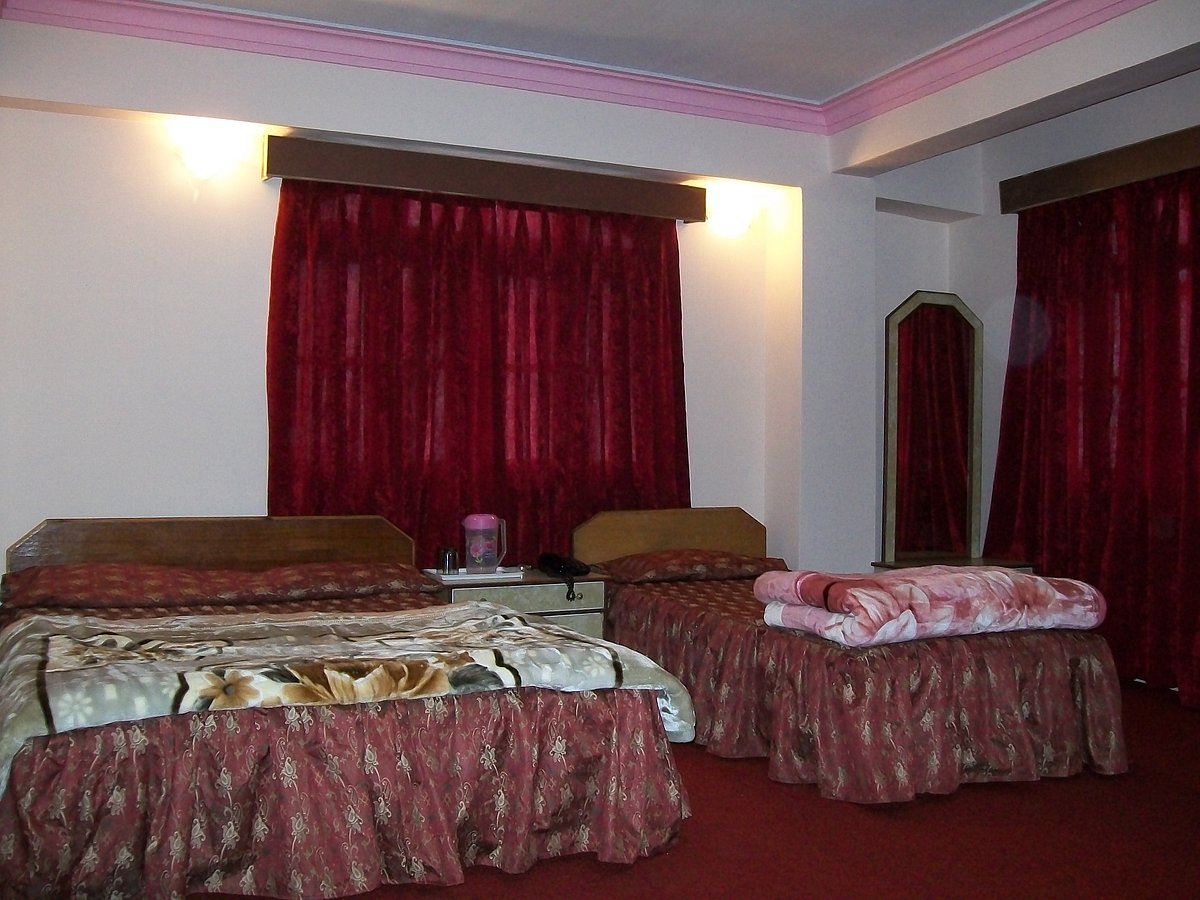 Hotel Darjeeling Palace, hotel in Darjeeling