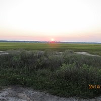 Marsh at James Island
