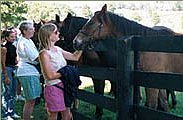 self guided horse farm tours lexington ky