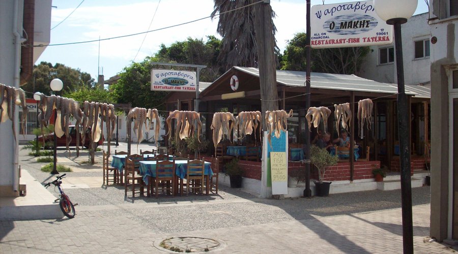 Sundried Octopus