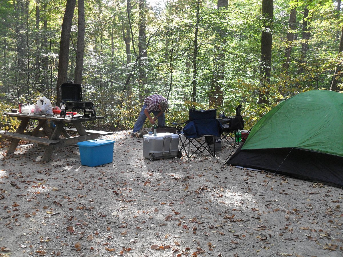 MCCORMICK'S CREEK STATE PARK - Campground Reviews (Spencer, IN)