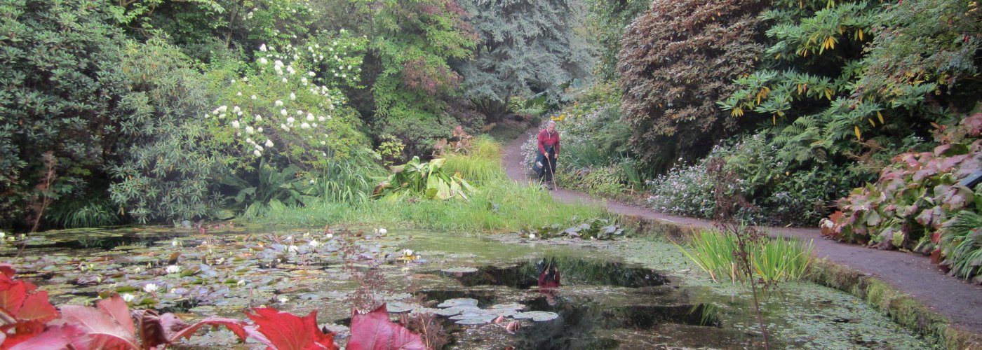 autumn colours at Inverew