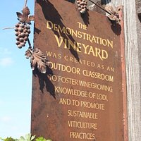A sign at the entrance to the educational vineyard.