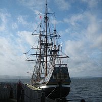 the 'Hector'