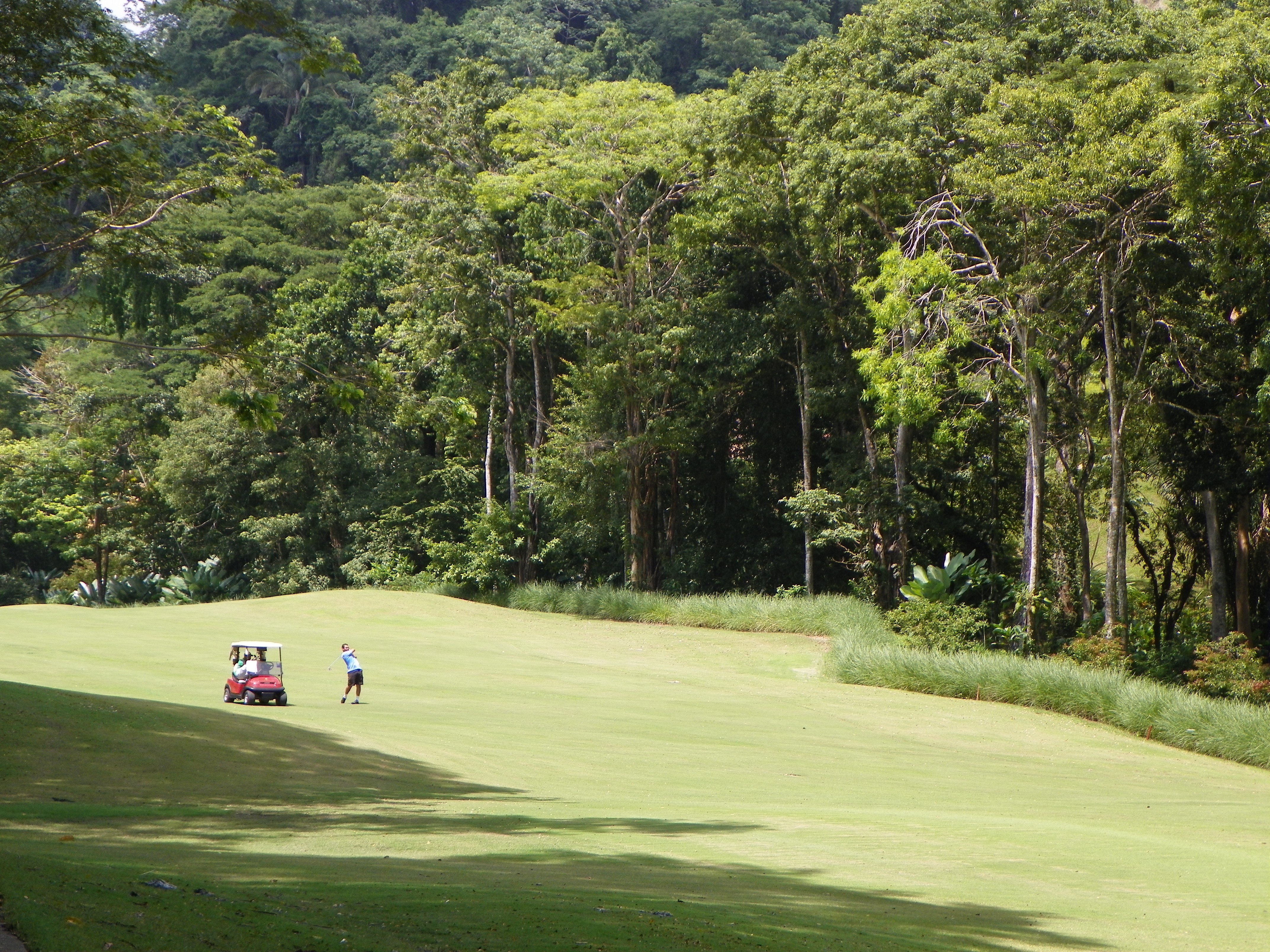 Sportif costa rica clearance golf