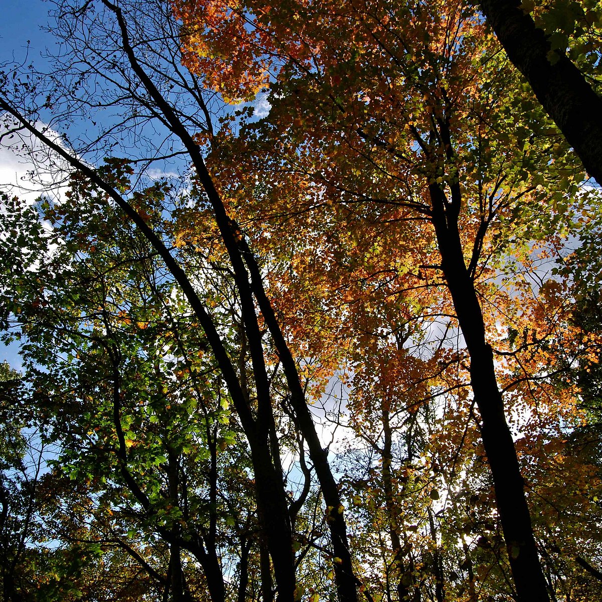 Kettle Moraine State Forest - All You Need to Know BEFORE You Go (with