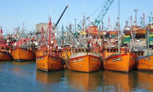 Puerto, lanchas pesqueras