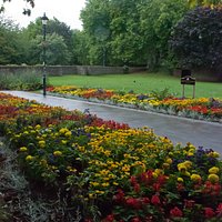 Fantastic flowers