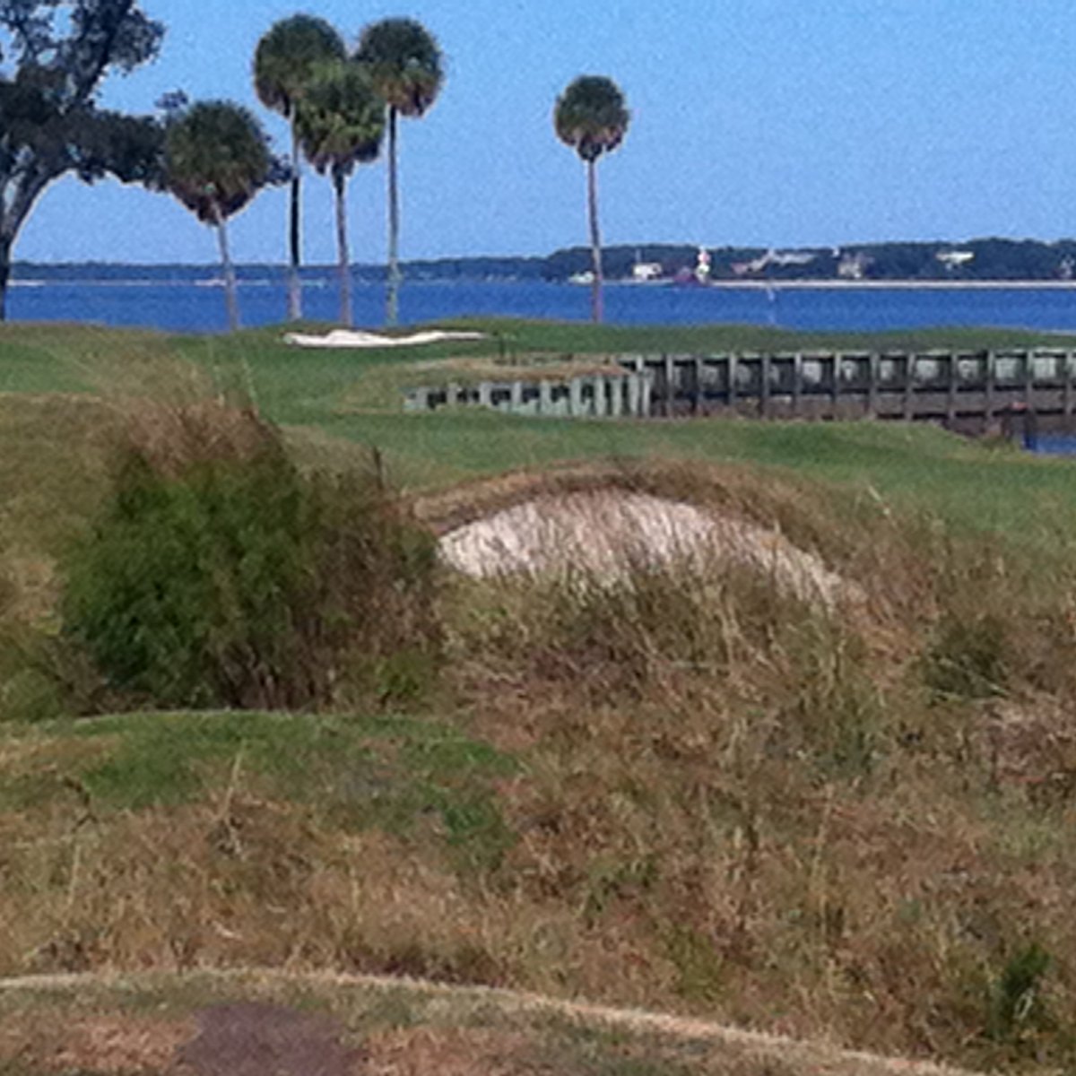 Melrose Golf Course (Daufuskie Island) All You Need to Know BEFORE You Go