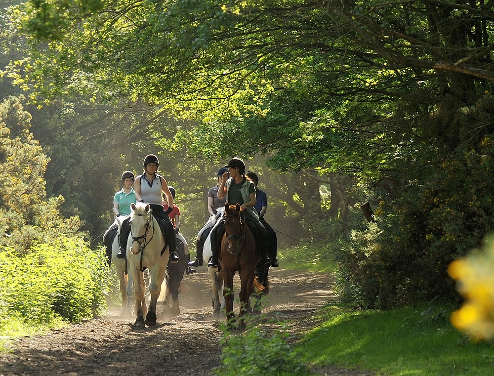 horse tour london