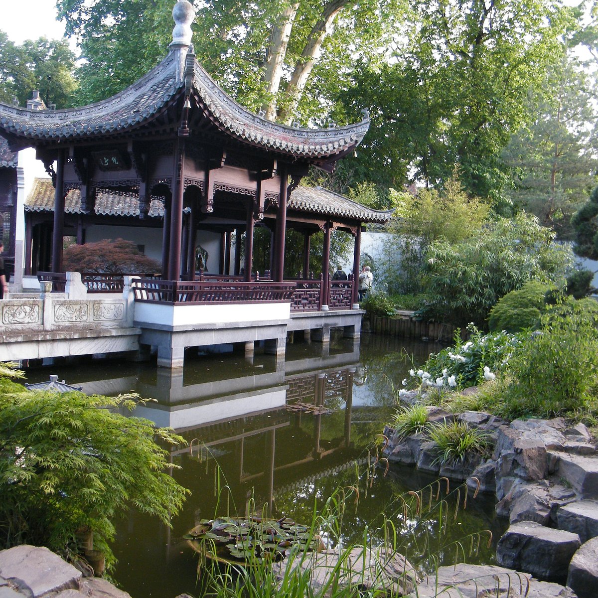 Chinese Garden (Φρανκφούρτη, Γερμανία) - Κριτικές - Tripadvisor