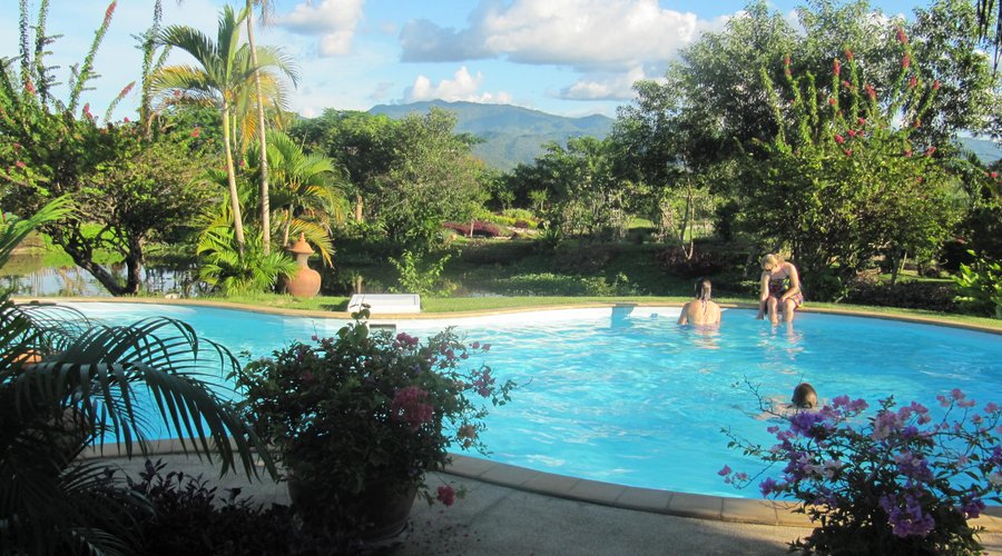 Swimming with a stunning views