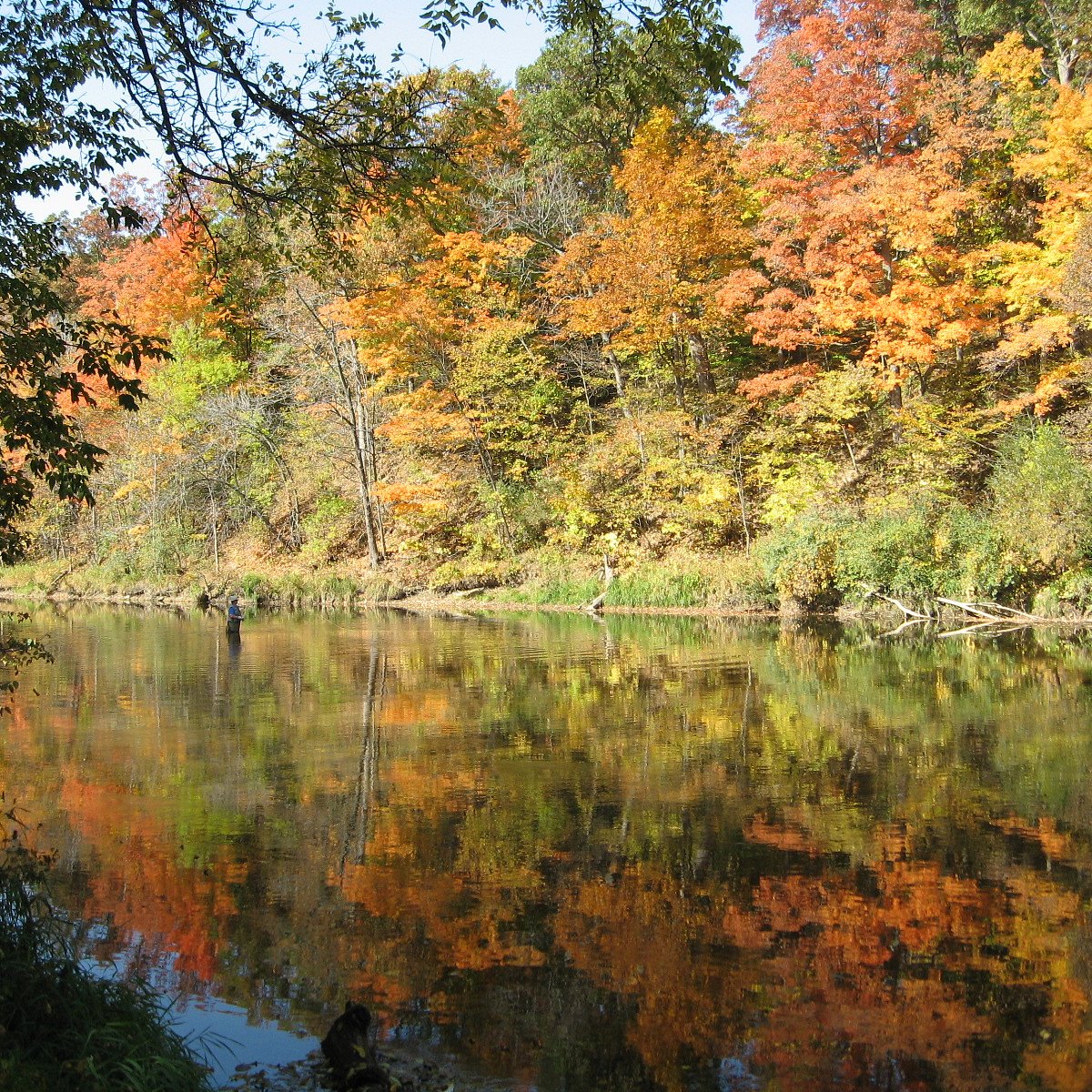 Michigan Country Picker