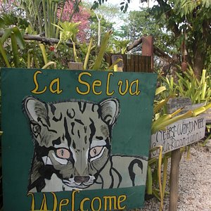 コスタリカの動物園 水族館 ベスト10 トリップアドバイザー