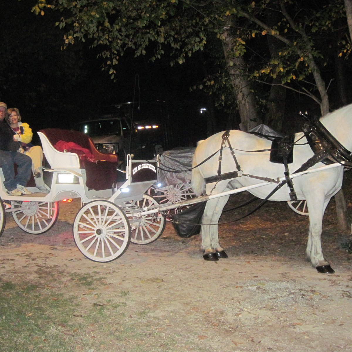 OLDEN DAYS CARRIAGE TOURS (Eureka Springs) - All You Need to Know