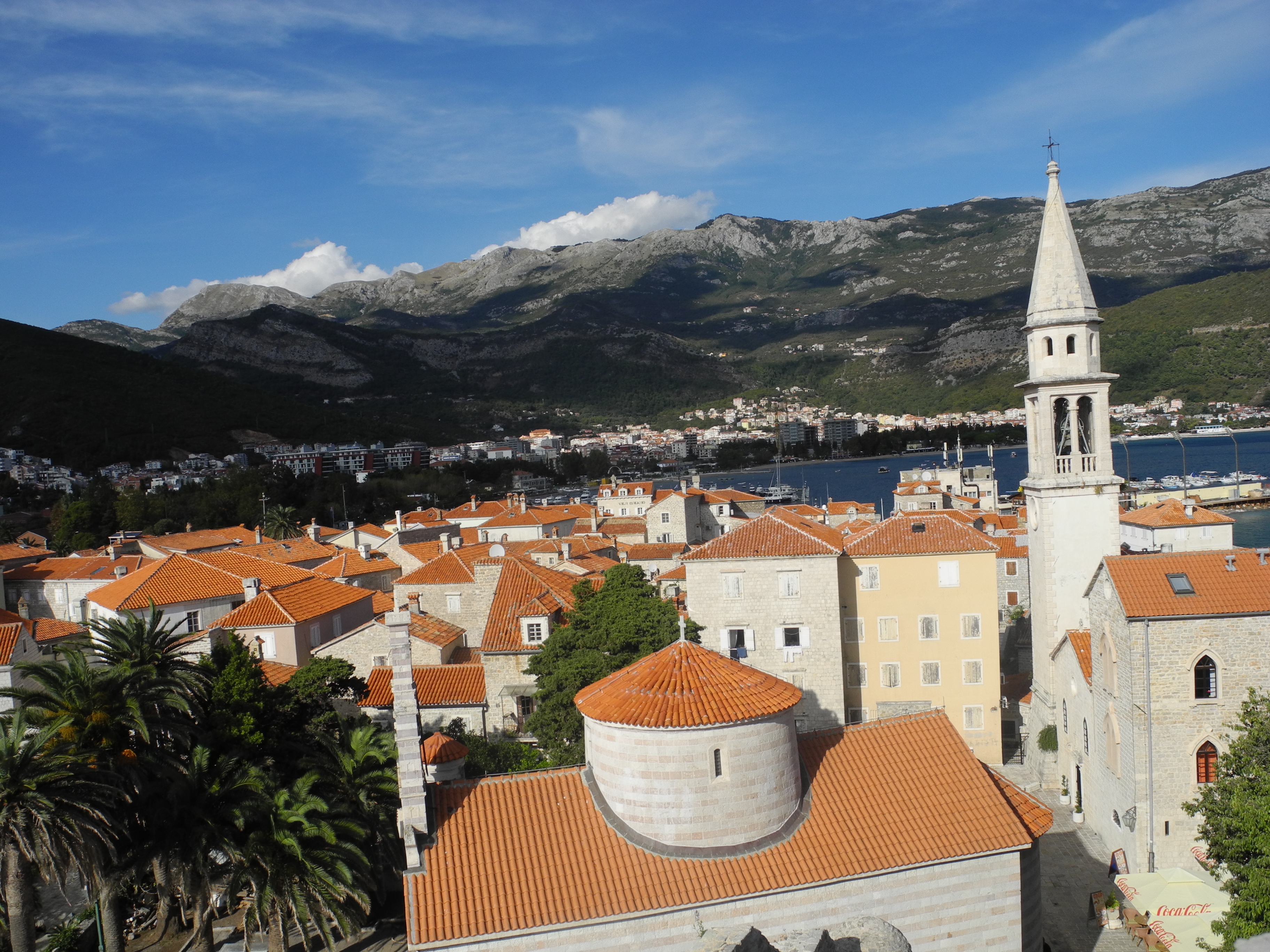 Budva Nightlife