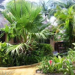 Chalet styled rooms in front garden