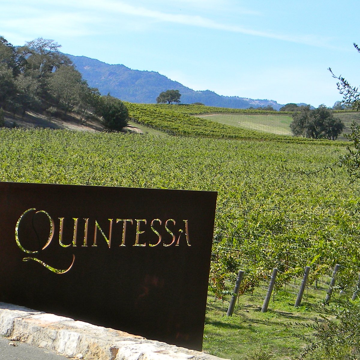 quintessa wine tour