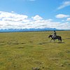 Things To Do in Active adventure by lake Khuvsgul, Restaurants in Active adventure by lake Khuvsgul