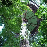 tree house